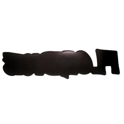 Floridiots 8-inch Magnet